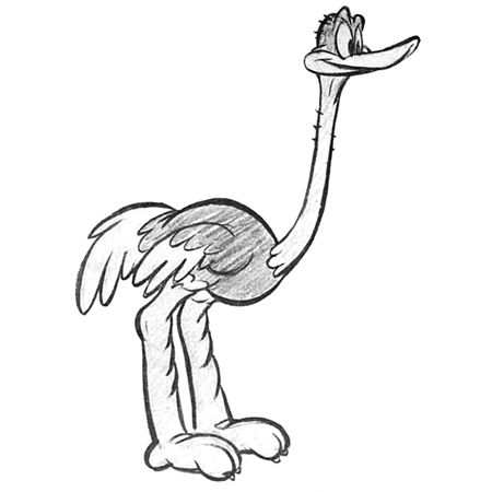 Ostrich Drawing Pic