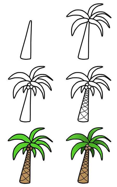 Palm Tree Drawing Pics