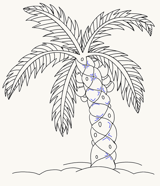 Palm Tree Drawing Picture