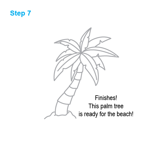Palm Tree Drawing Realistic