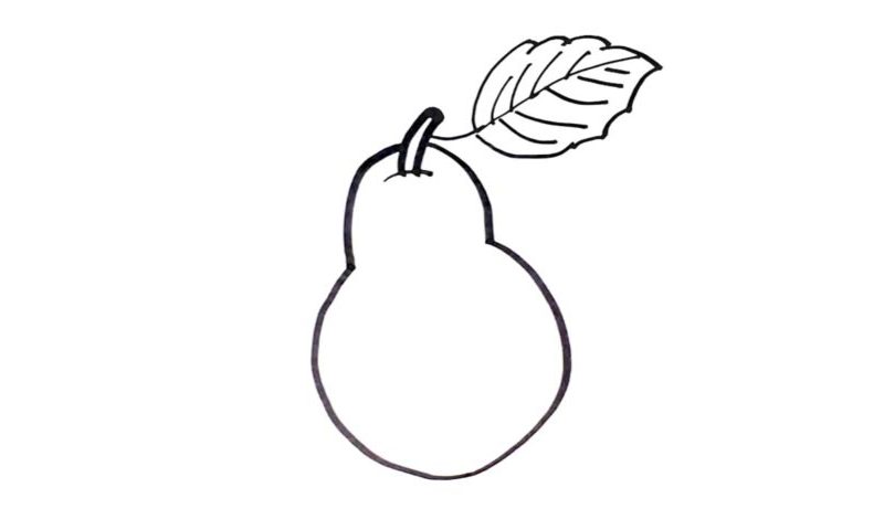 Pear Drawing Amazing