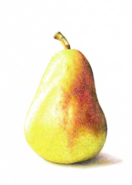 Pear Drawing Beautiful Image