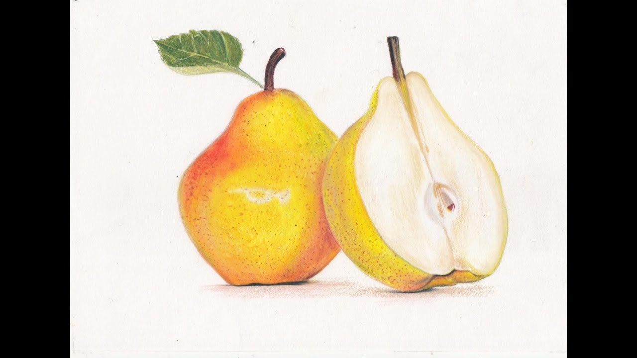 Pear Drawing Pic