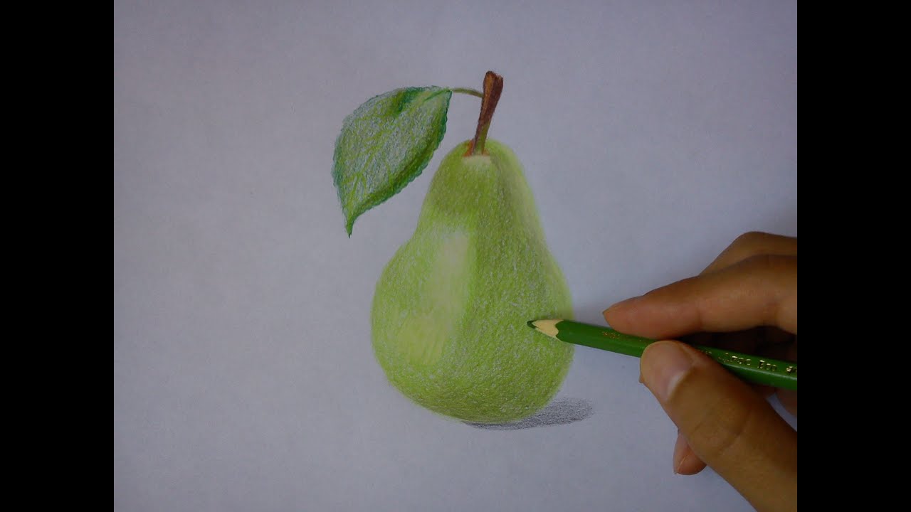 Pear Drawing Picture