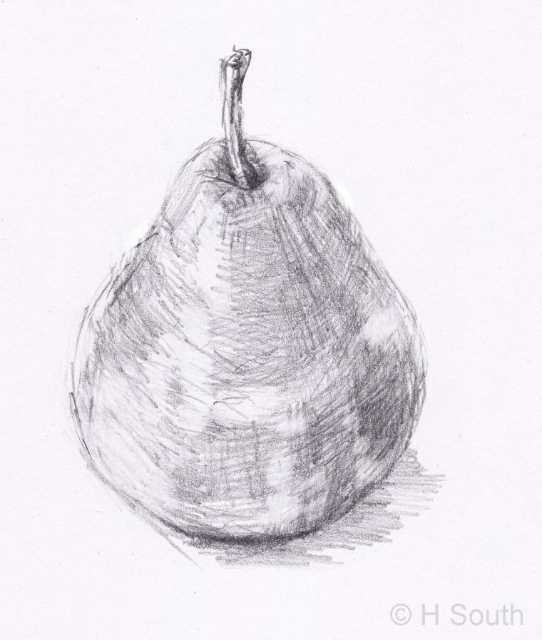 Pear Drawing Sketch
