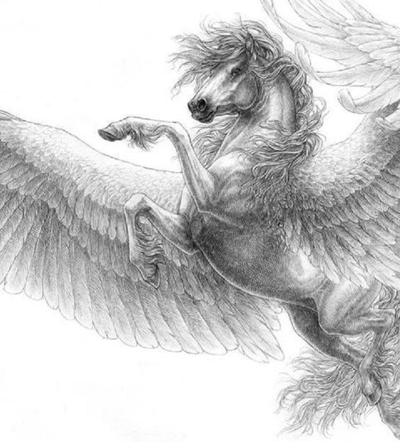 Pegasus Art Drawing
