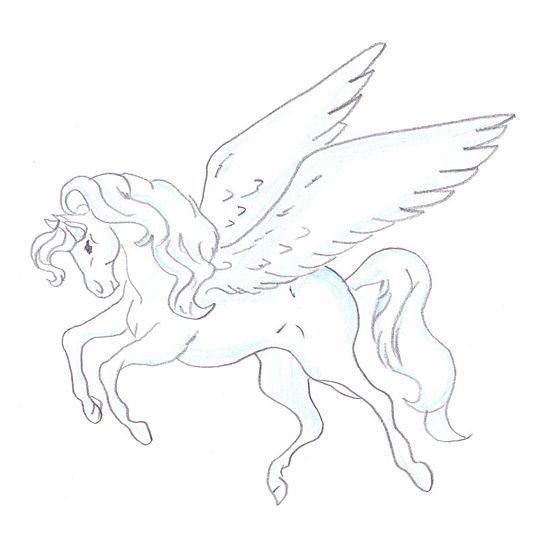 Pegasus Drawing Amazing