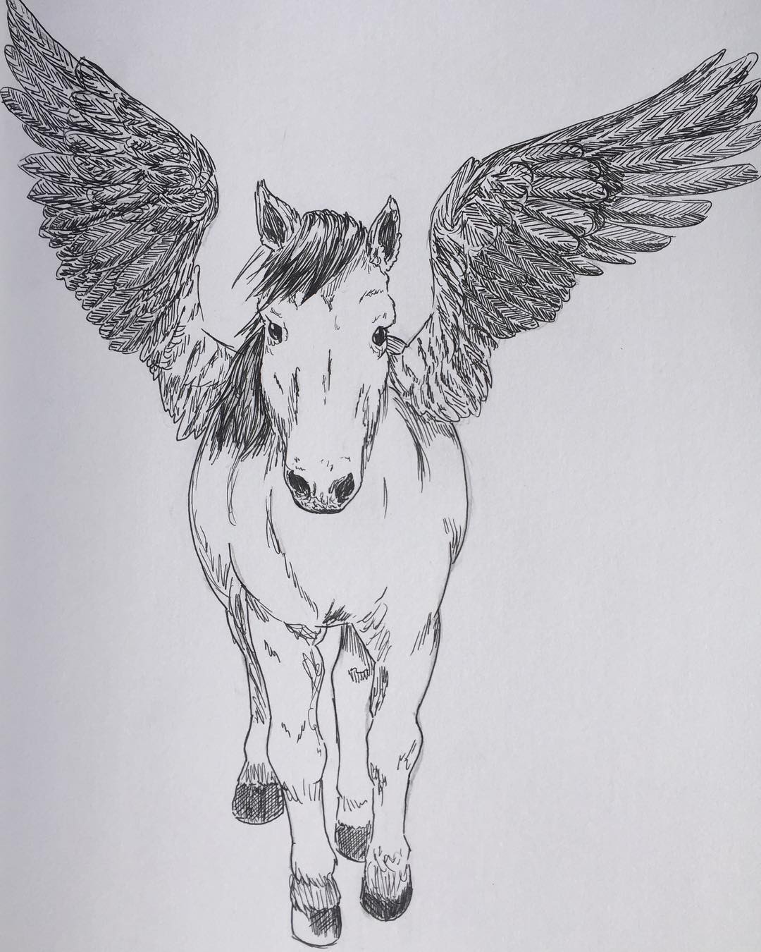 Pegasus Drawing Art