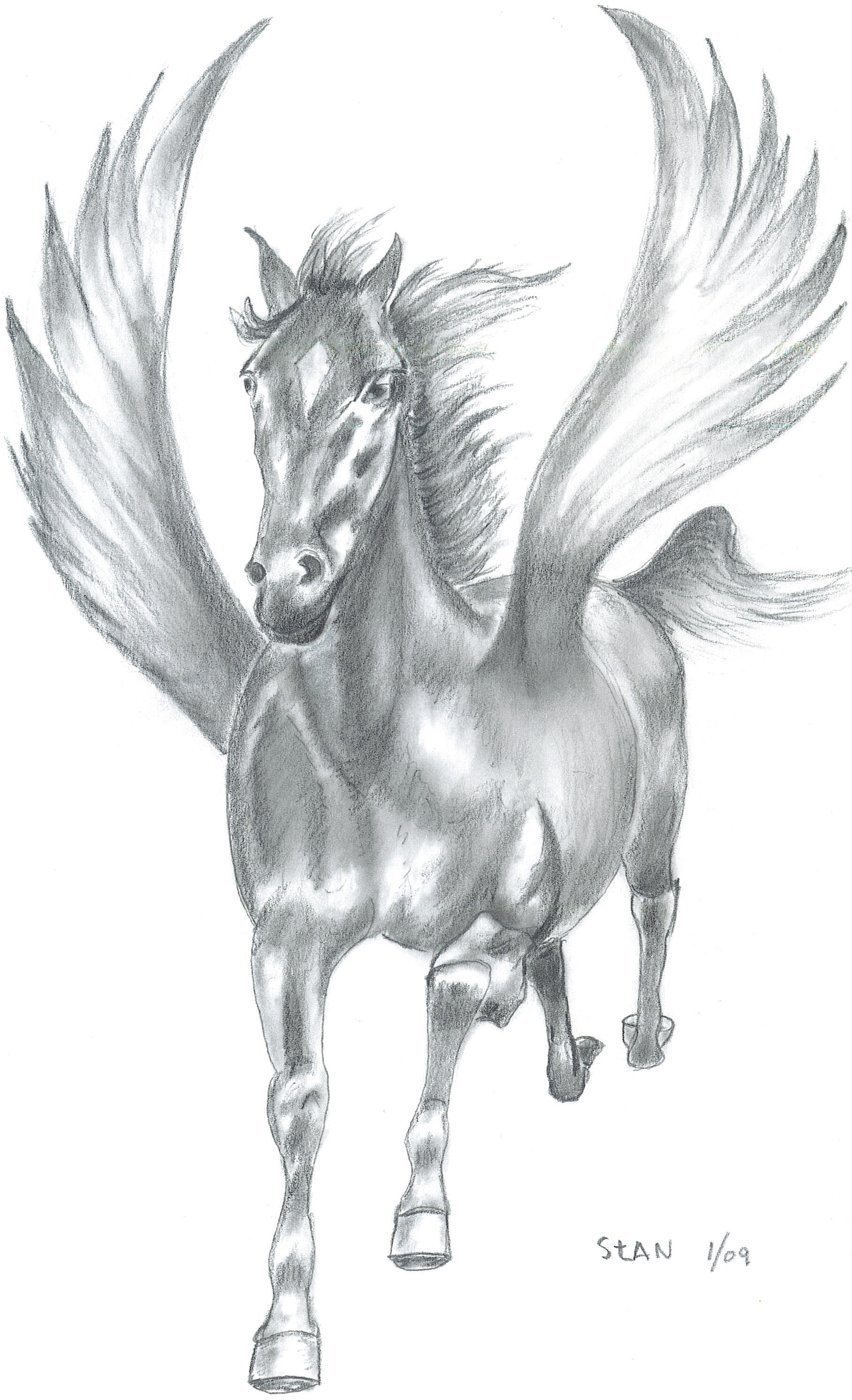 Pegasus Drawing Beautiful Art