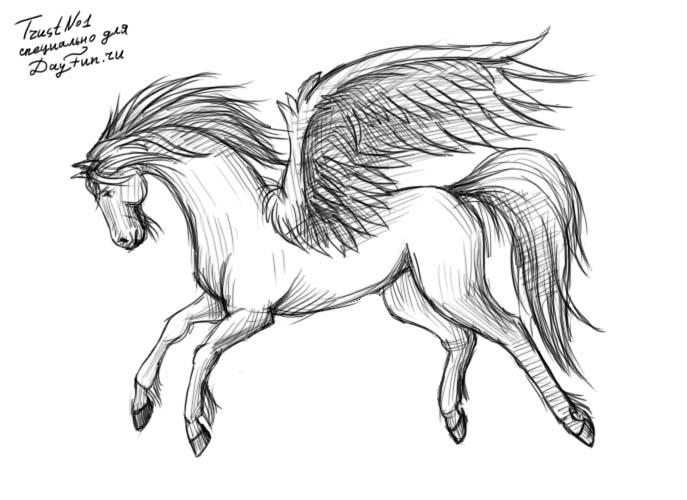Pegasus Drawing Beautiful Art