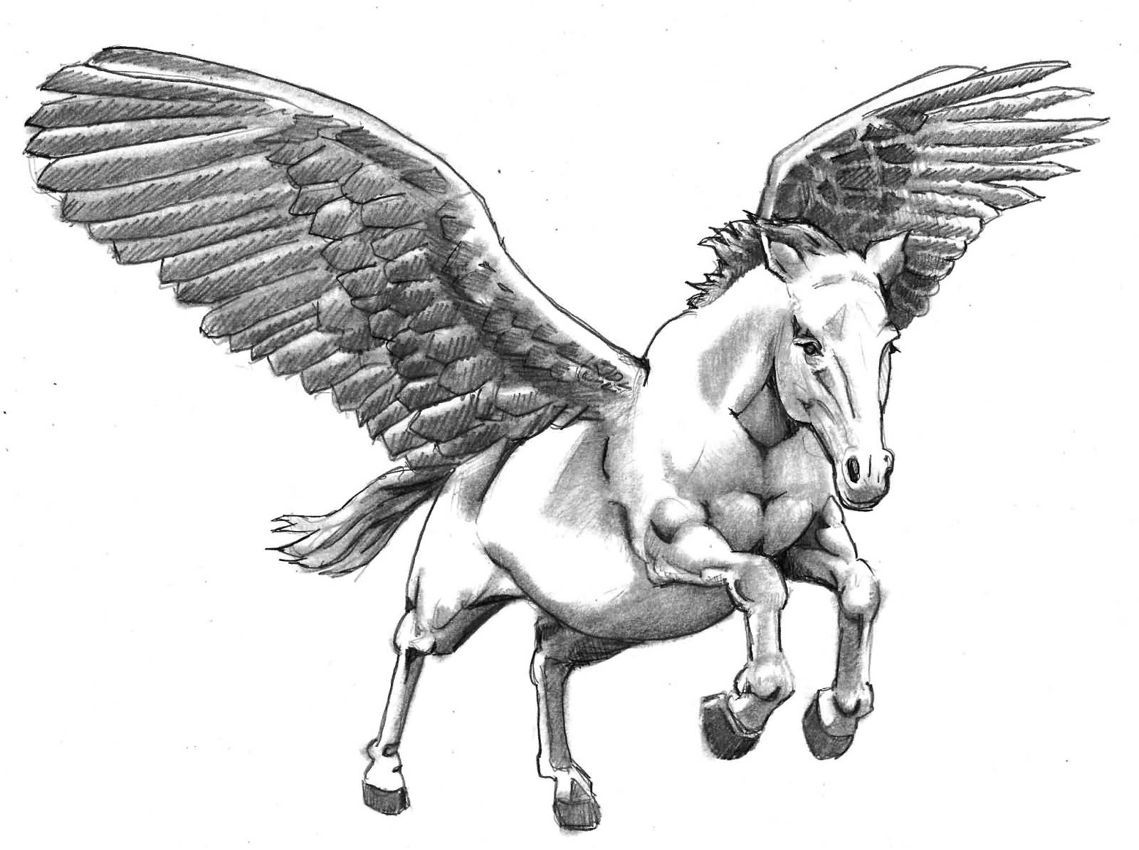 Pegasus Drawing Beautiful Image