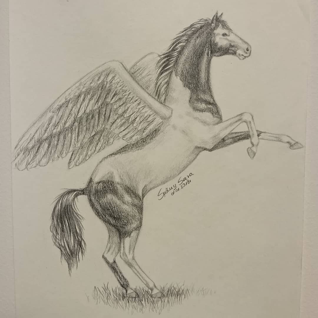 Pegasus Drawing Best