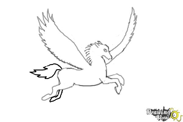 Pegasus Drawing High-Quality