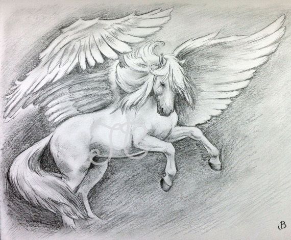 Pegasus Drawing Image