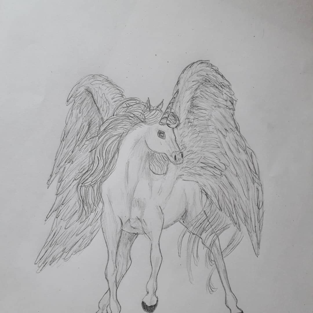 Pegasus Drawing Image