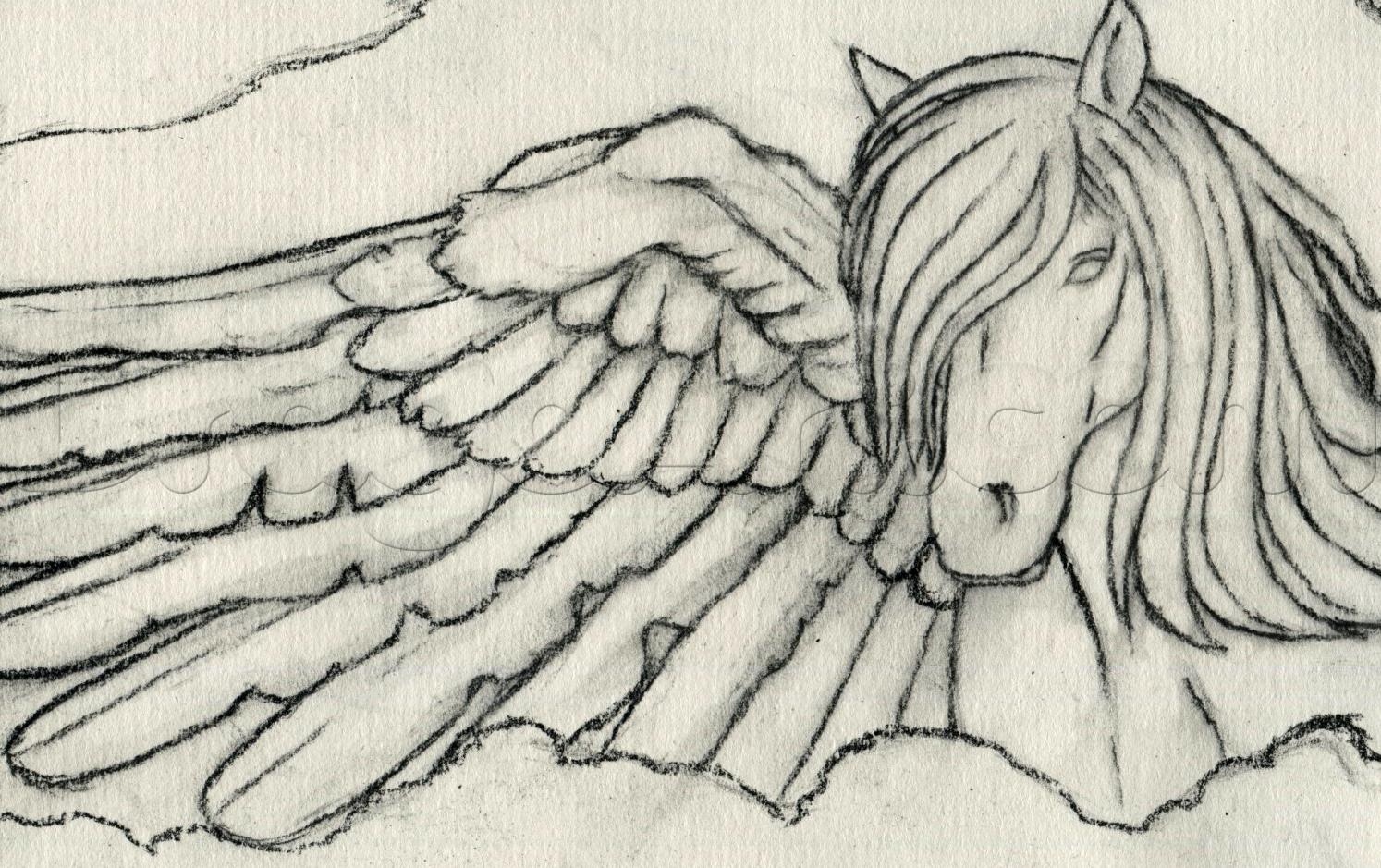 Pegasus Drawing Images