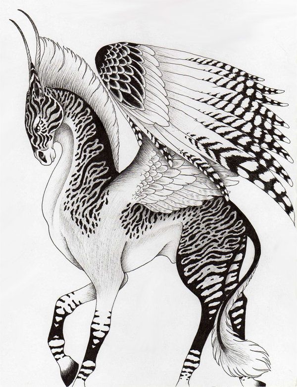 Pegasus Drawing Images