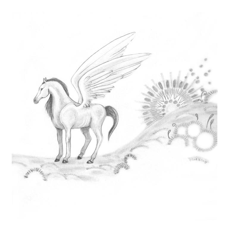 Pegasus Drawing Photo