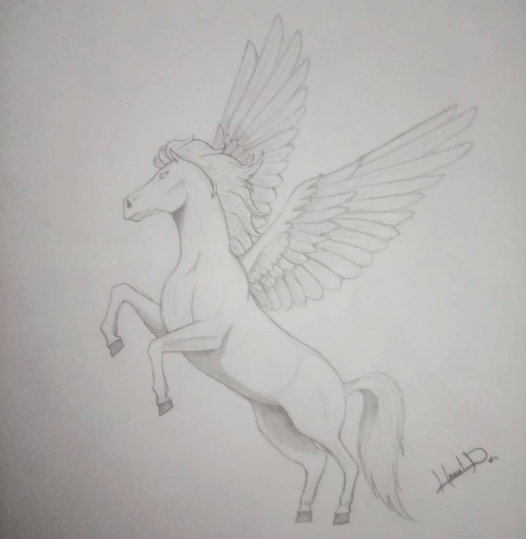 Pegasus Drawing Photo