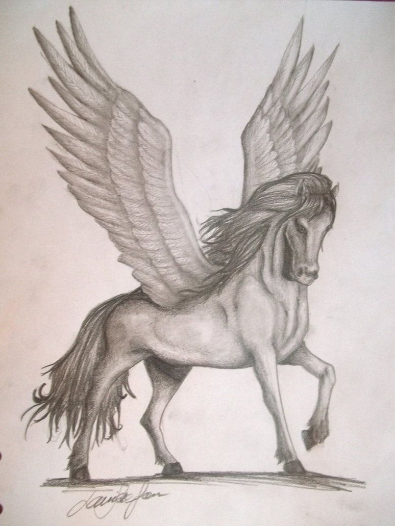 Pegasus Drawing Pics