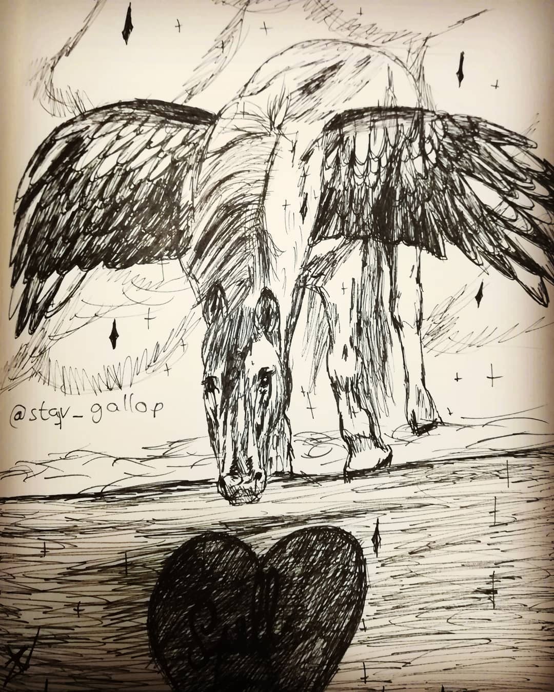 Pegasus Drawing Picture