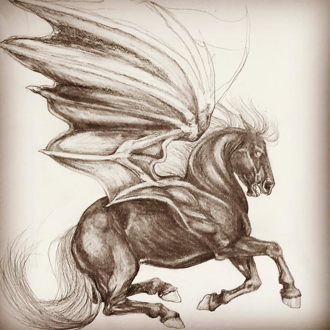 Pegasus Drawing Sketch