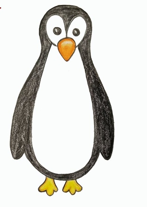 Penguin Drawing Photo