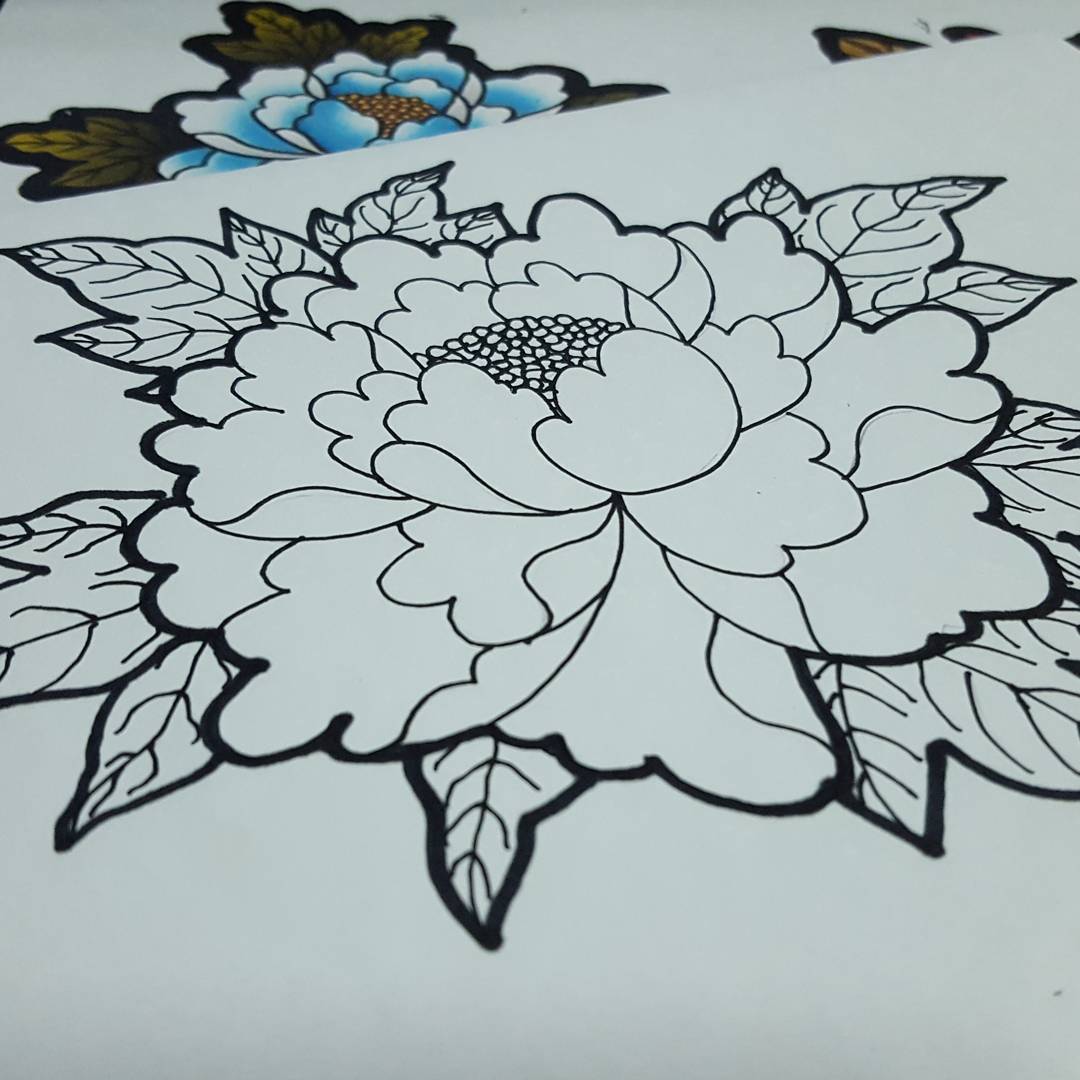 Peony Drawing Picture
