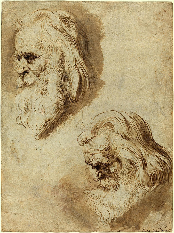 Peter Paul Rubens Drawing Amazing