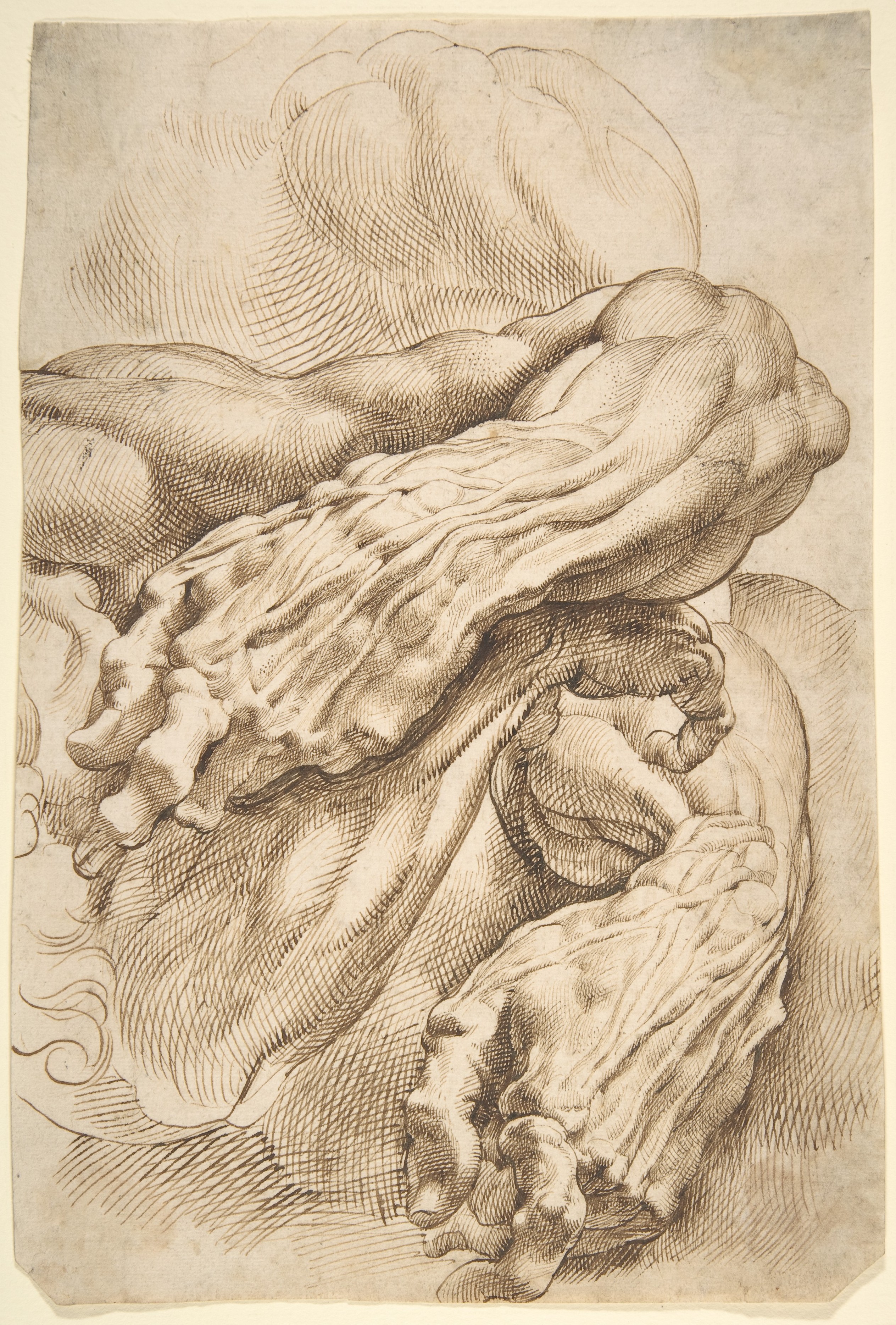 Peter Paul Rubens Drawing Art