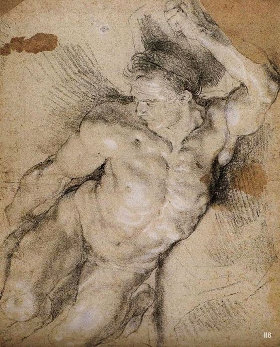 Peter Paul Rubens Drawing Beautiful Image