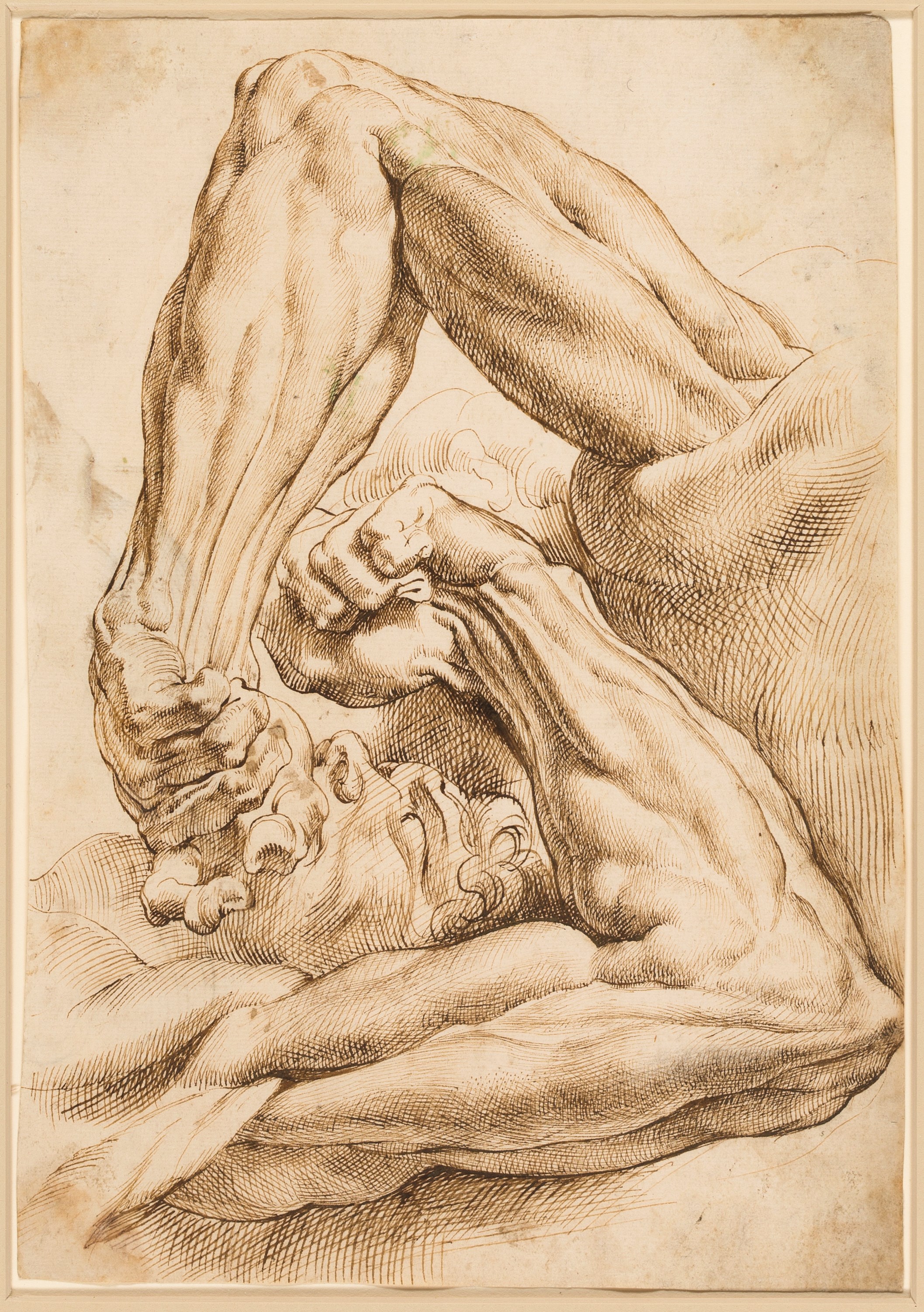 Peter Paul Rubens Drawing Best