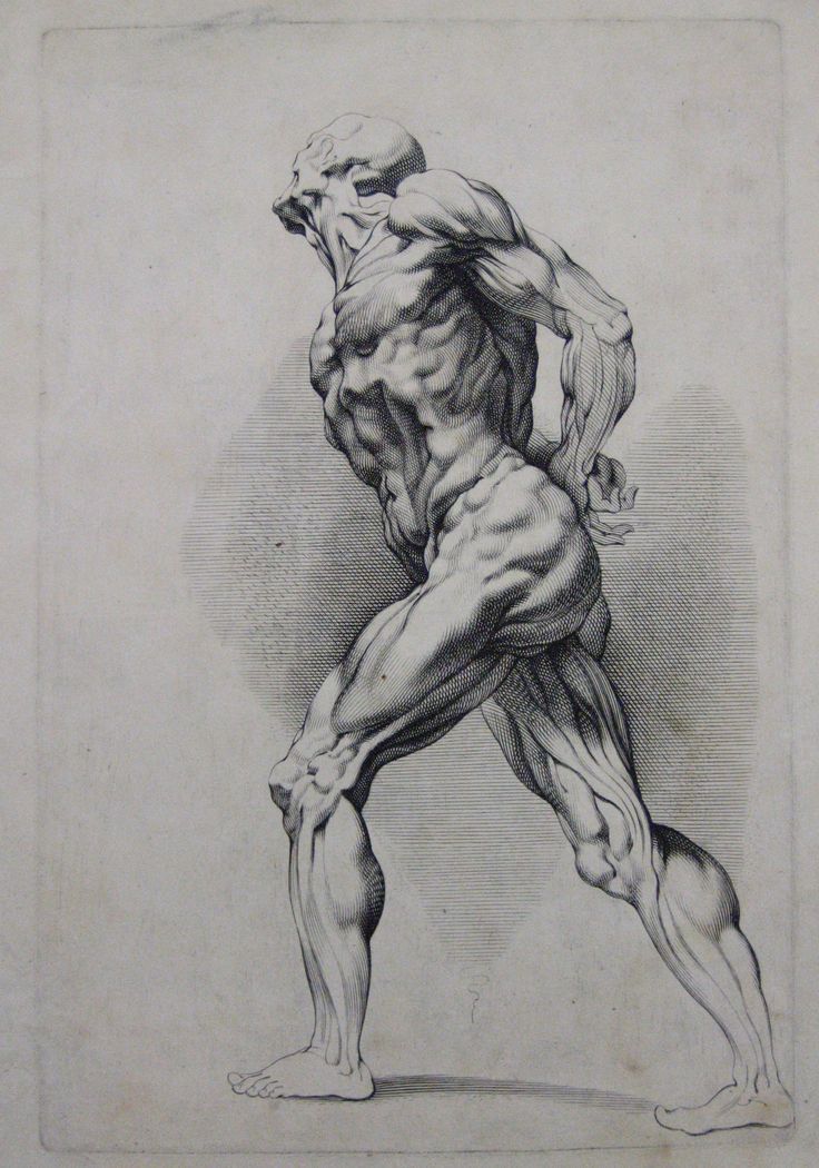 Peter Paul Rubens Drawing Image
