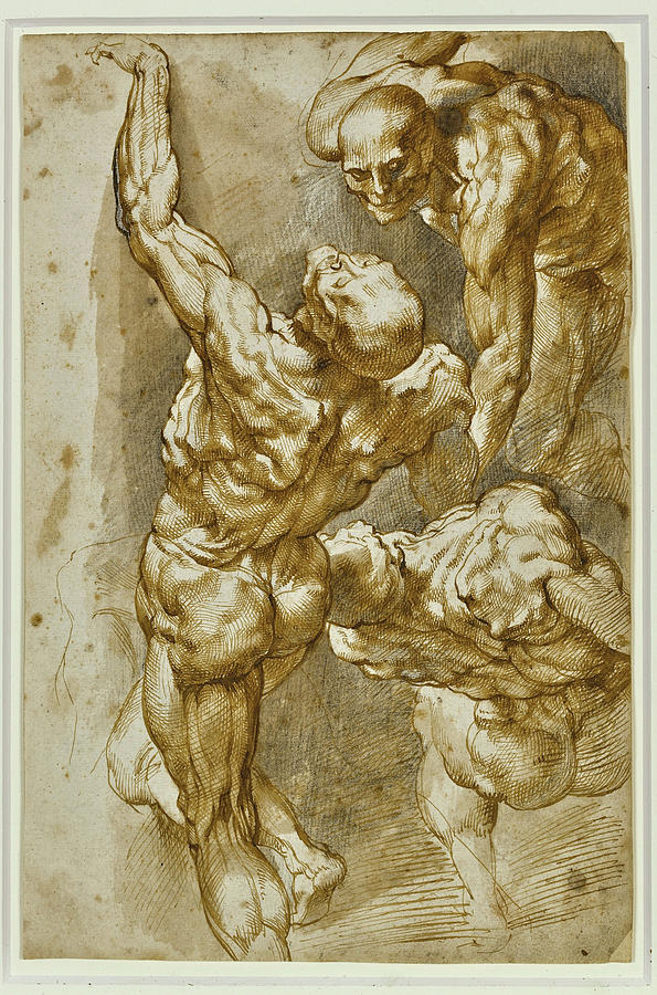 Peter Paul Rubens Drawing Pic
