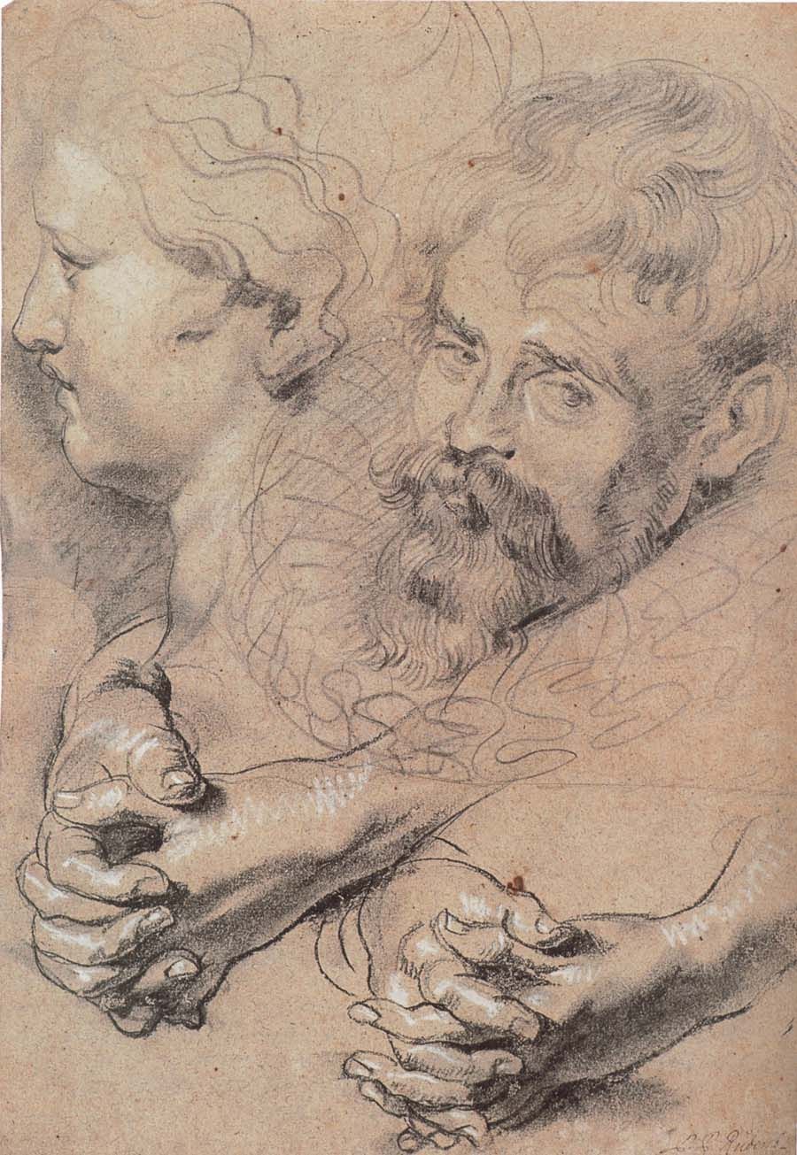 Peter Paul Rubens Drawing Pics