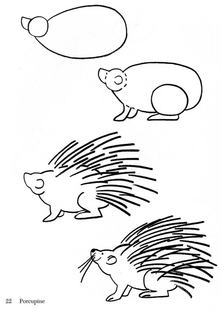 Porcupine Drawing Pic