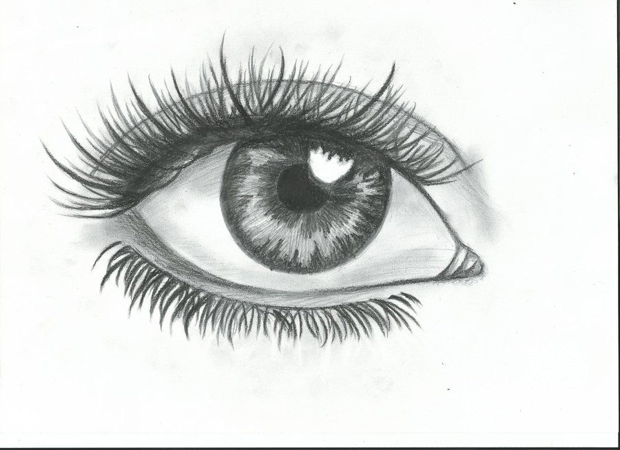 Free Vector | Beautiful hand drawn sketch eyes