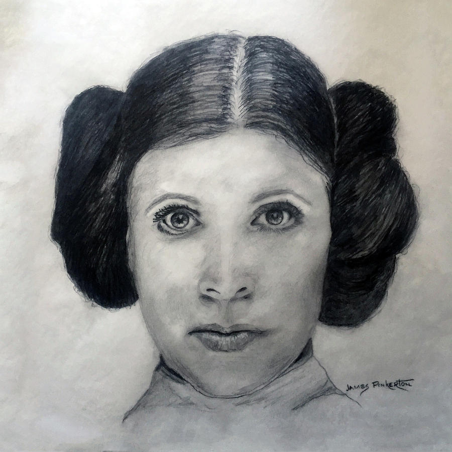 Princess Leia Drawing Photo