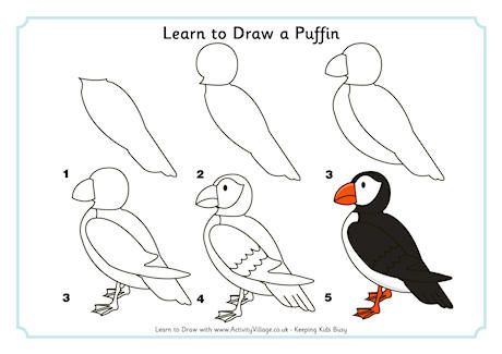 Puffin Drawing Picture