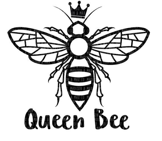 Queen Bee Drawing Best