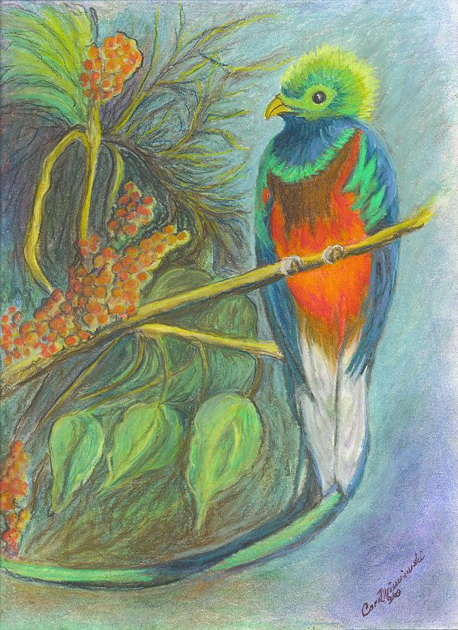 Quetzal Art Drawing