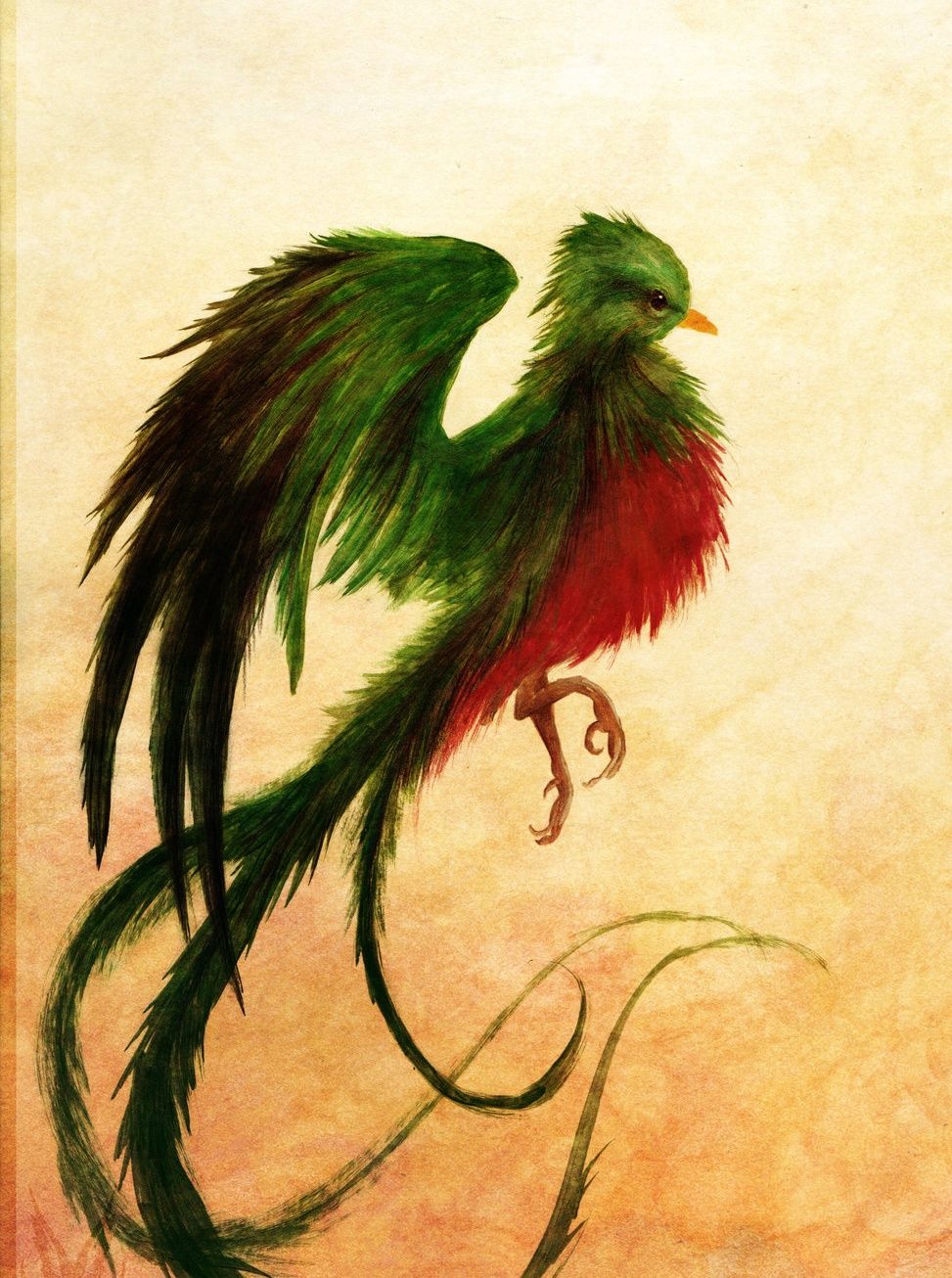 Quetzal Drawing Image