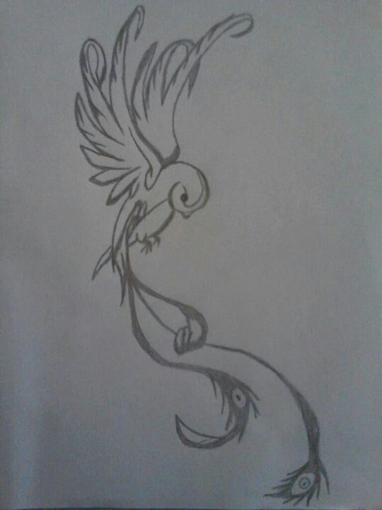 Quetzal Drawing Pics
