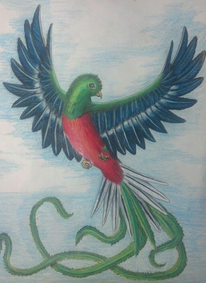Quetzal Drawing