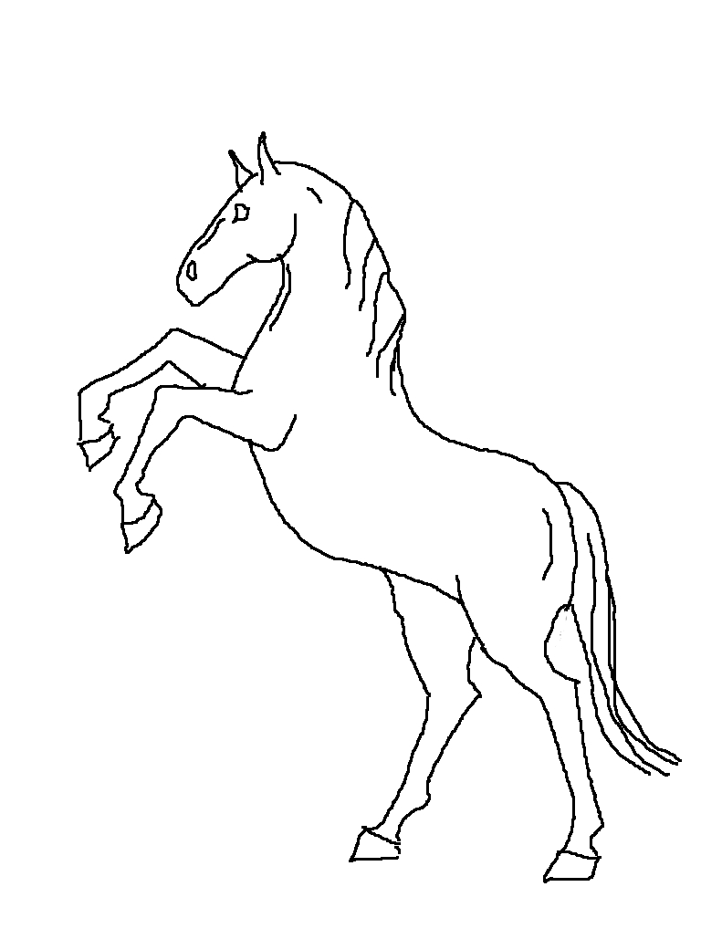 Rearing Horse Drawing Art