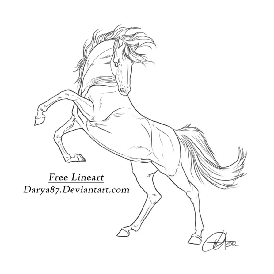 Rearing Horse Drawing Beautiful Image