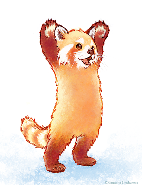 Red Panda Drawing Image