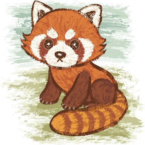 Red Panda Drawing Photo