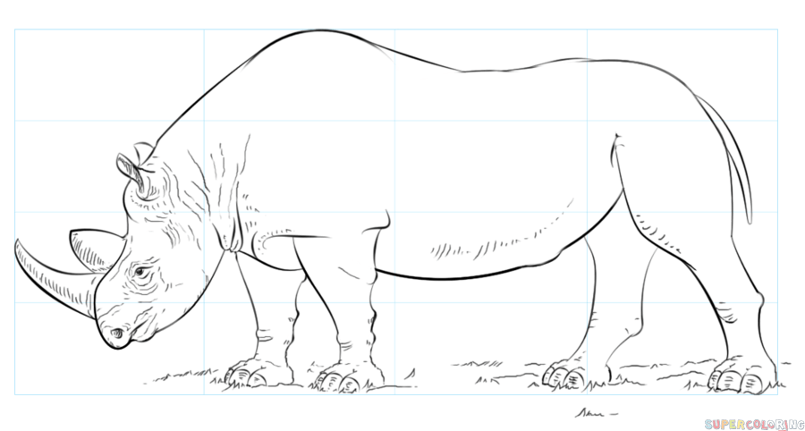 Rhinoceros Drawing Photo