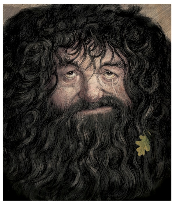 Rubeus Hagrid Art Drawing